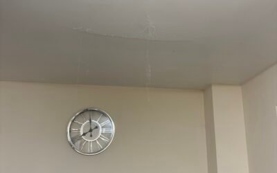 The Importance of Emergency Plumbing Services in Bordon
