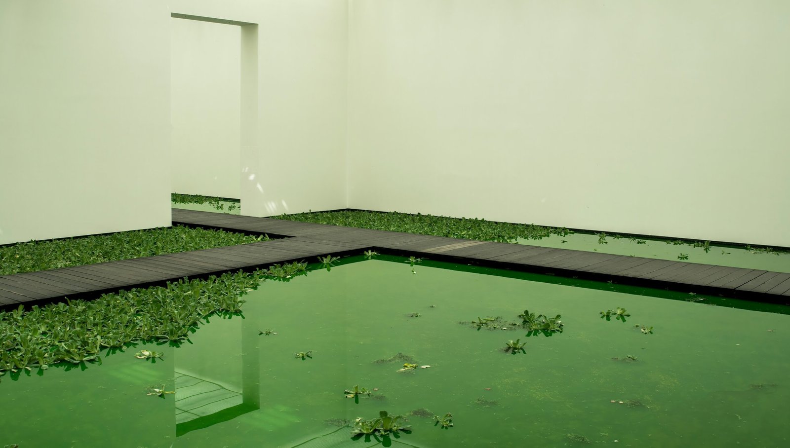 The Benefits and Importance of Swimming Pool Installation in Guildford