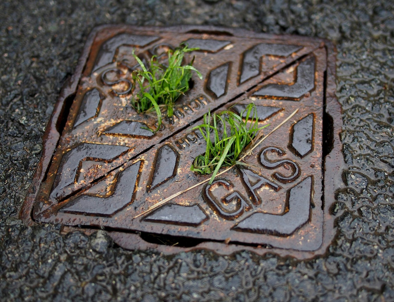 Comprehensive Drain Inspection Services with Advanced Camera Technology