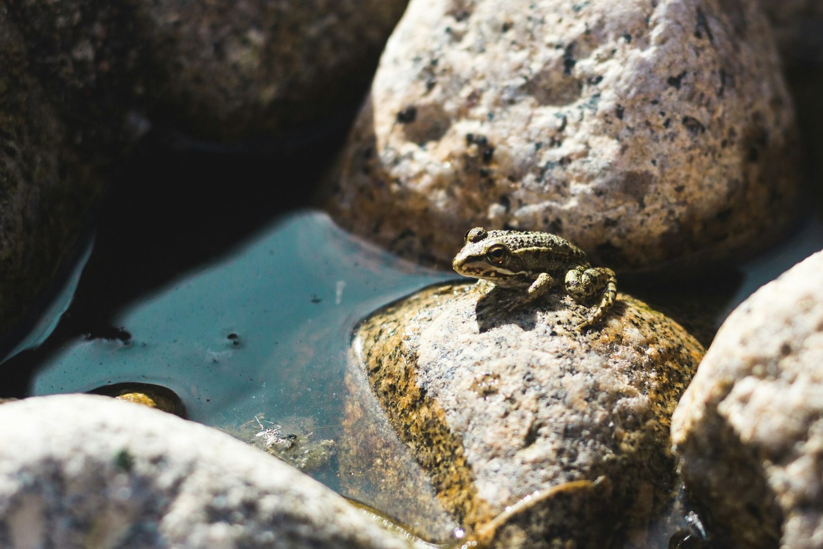 Preparing Your Outdoor Pool for Shutdown: A Complete Guide with Heat Eco